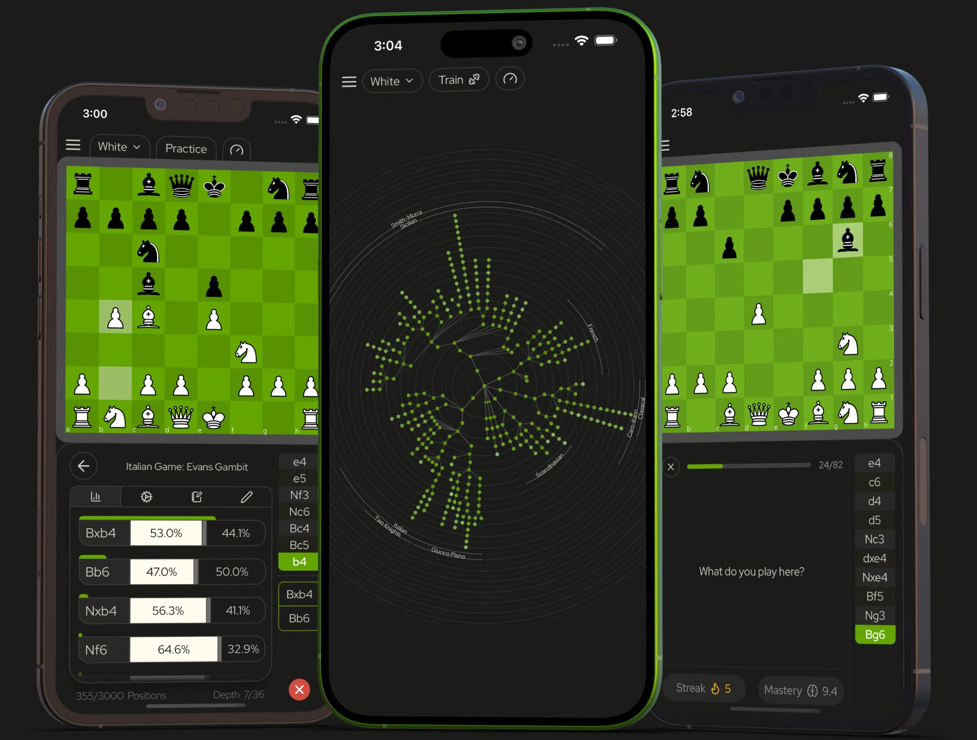 Theoria - a learning tool for chess openings